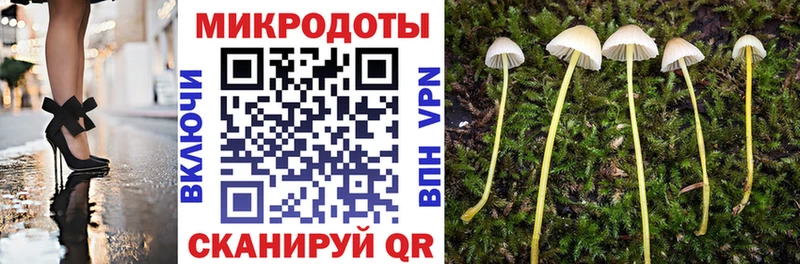 Галлюциногенные грибы Psilocybine cubensis  Купить закладки  Лесосибирск 